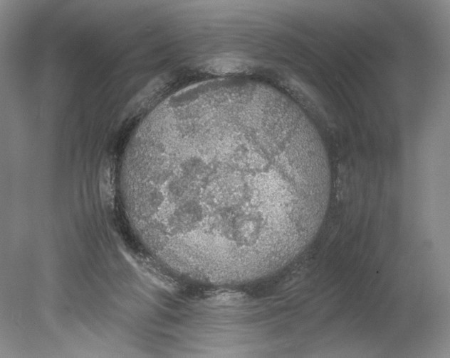 X0000080730210200701021129