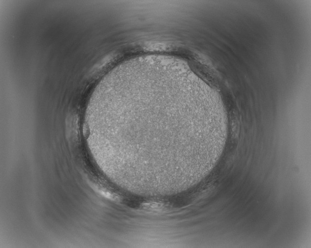 X0000080730211200701021129