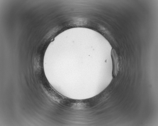 X0000080730212200701021129