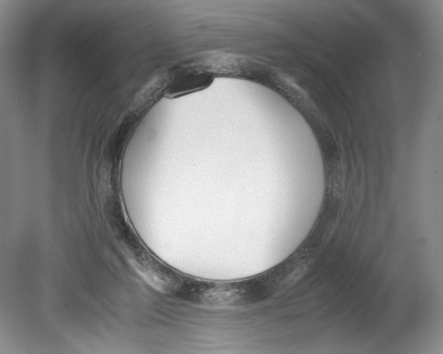 X0000080730213200701021129