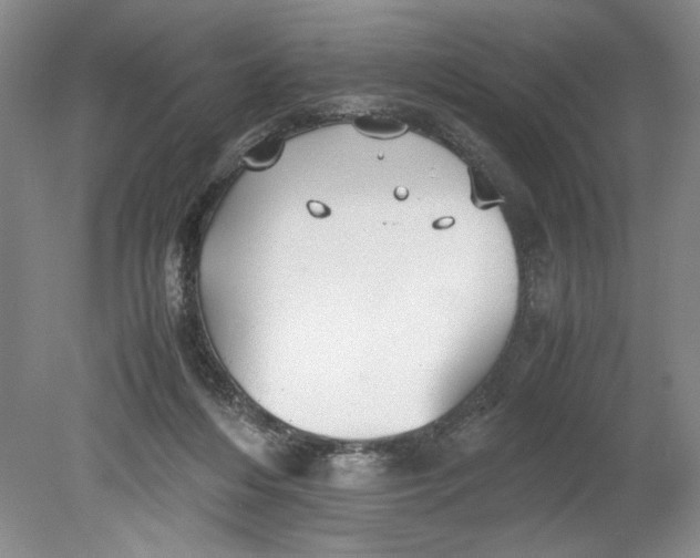 X0000080730216200701021129