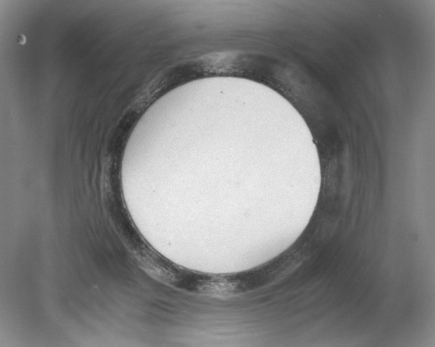 X0000080730217200701021129