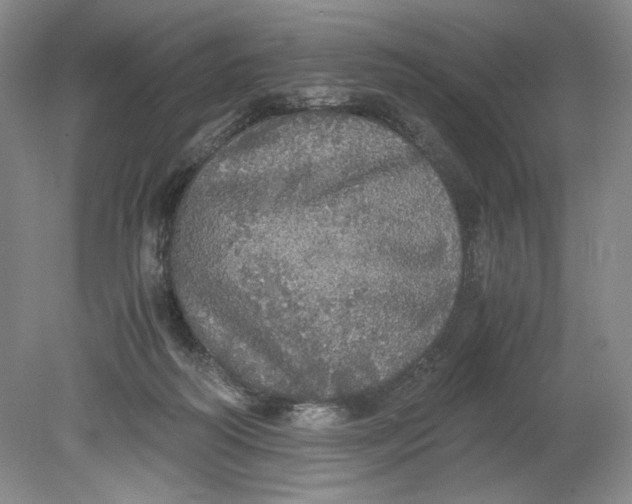 X0000080730218200701021129