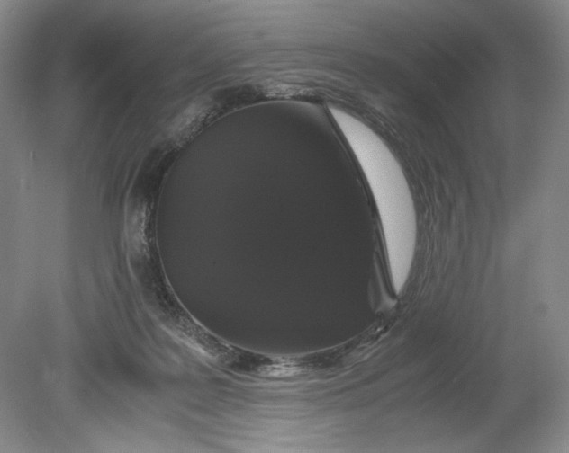 X0000080730219200701021129