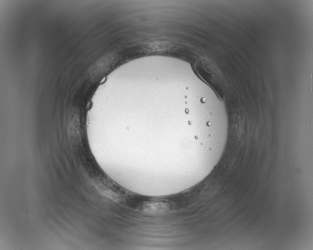 X0000080730220200701021129