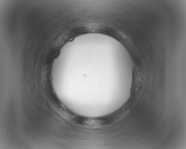 X0000080730221200701021129