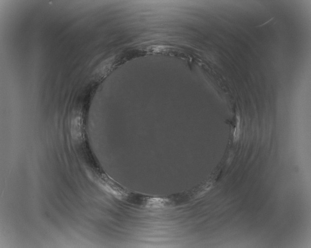 X0000080730222200701021129