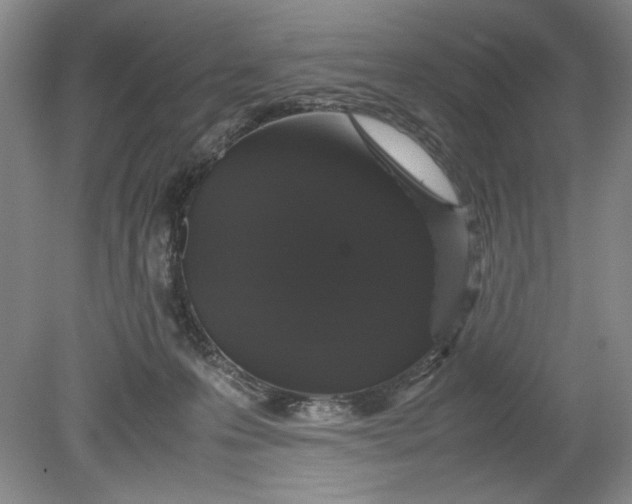 X0000080730223200701021129