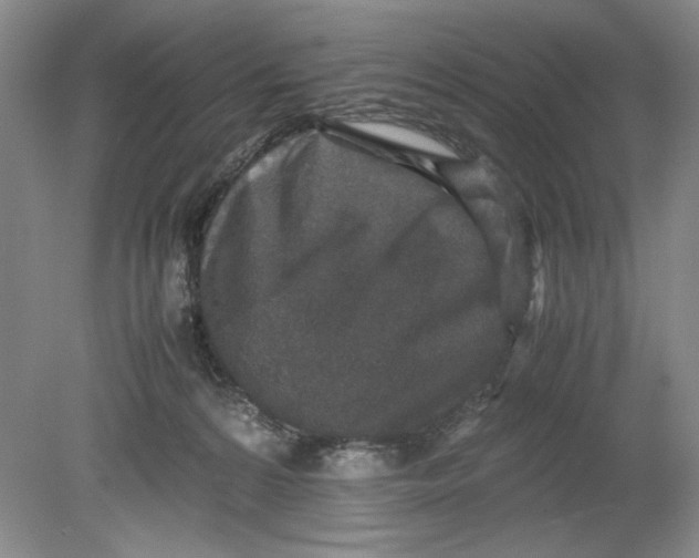 X0000080730224200701021129