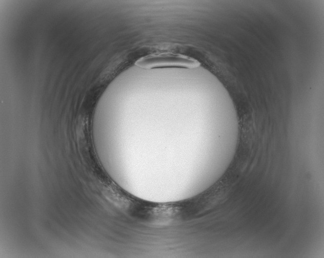 X0000080730225200701021129