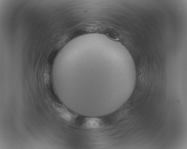 X0000080730226200701021129