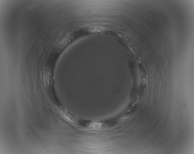 X0000080730227200701021129