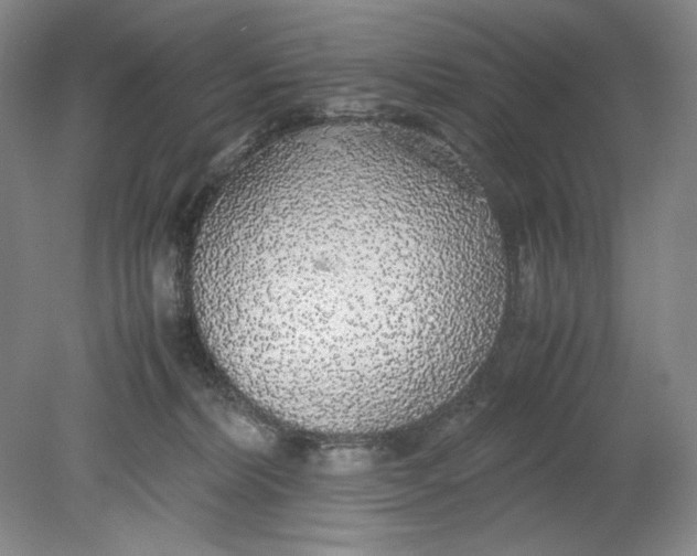 X0000080730228200701021129