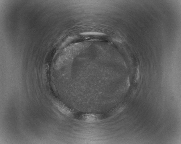 X0000080730229200701021129