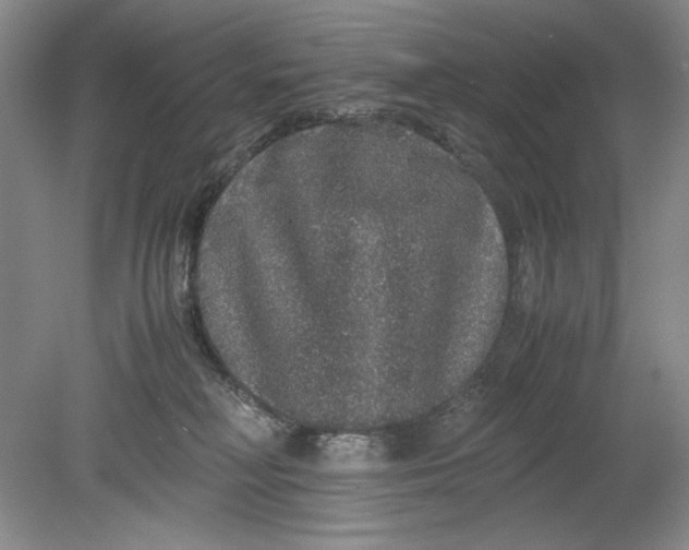 X0000080730230200701021129