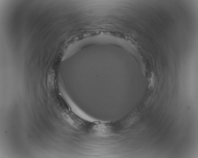 X0000080730231200701021129