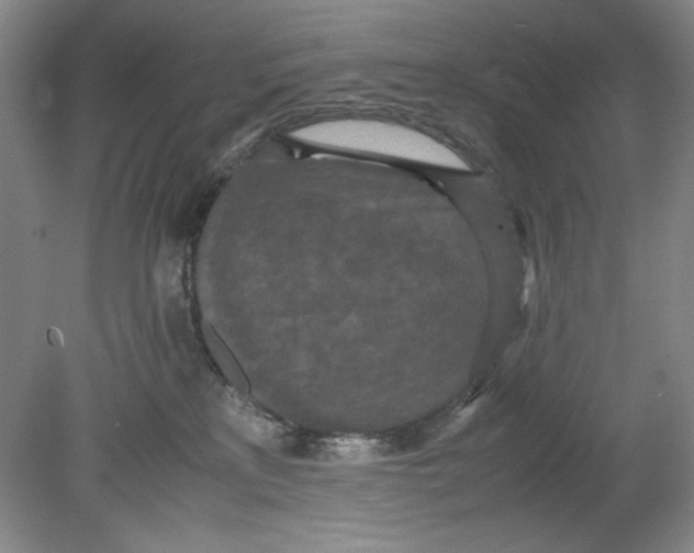 X0000080730233200701021129