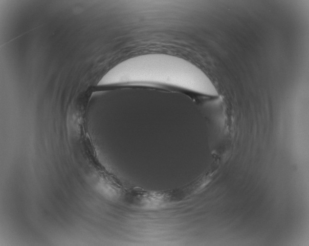 X0000080730235200701021129