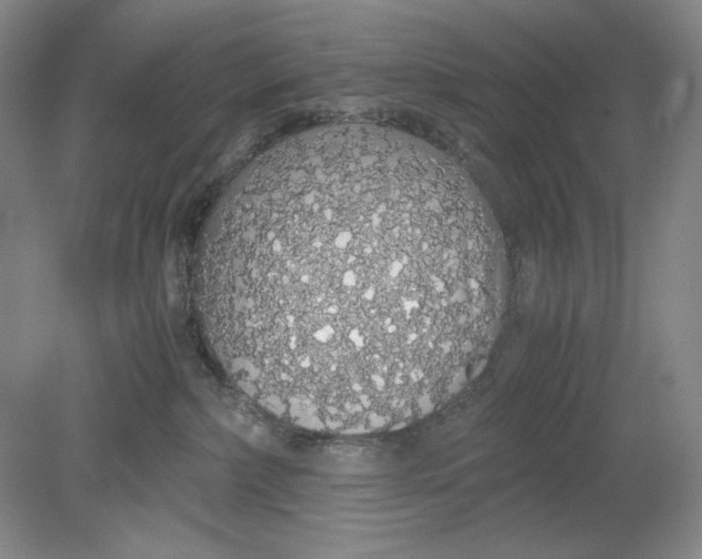 X0000080730236200701021129