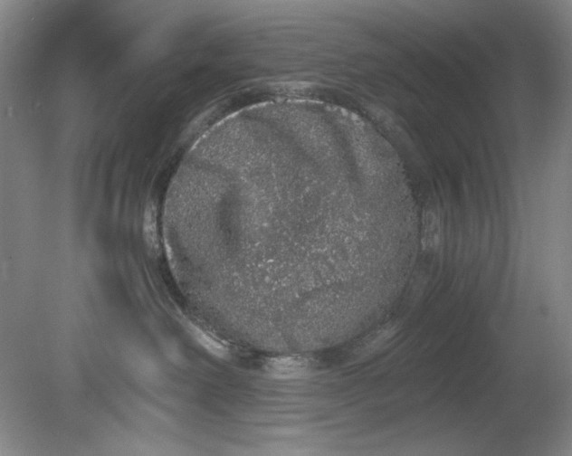 X0000080730238200701021129