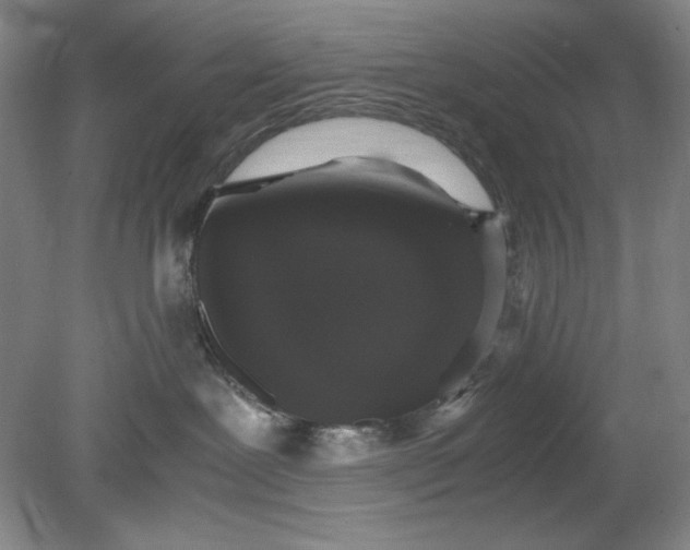 X0000080730239200701021129