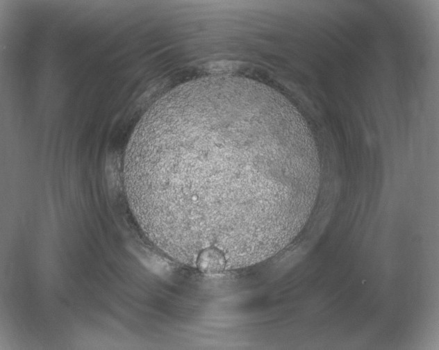 X0000080730240200701021129