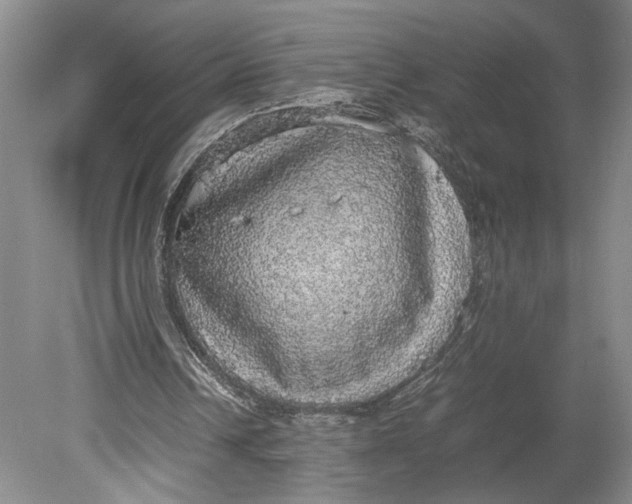 X0000080730242200701021128