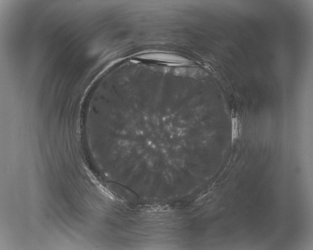 X0000080730243200701021128