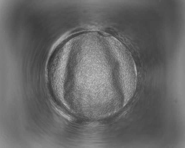 X0000080730246200701021128