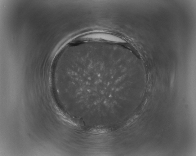 X0000080730247200701021128