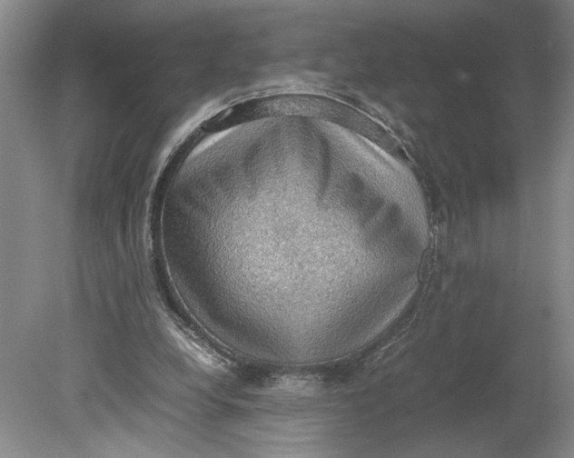 X0000080730248200701021128