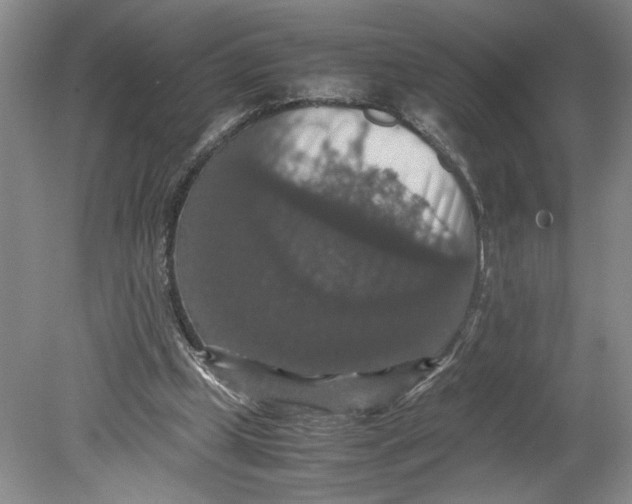 X0000080730249200701021128