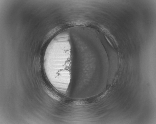 X0000080730250200701021128