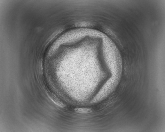 X0000080730251200701021128