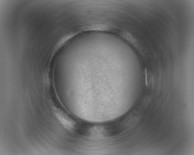 X0000080730252200701021128