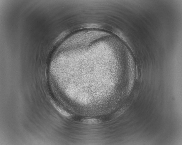 X0000080730253200701021128