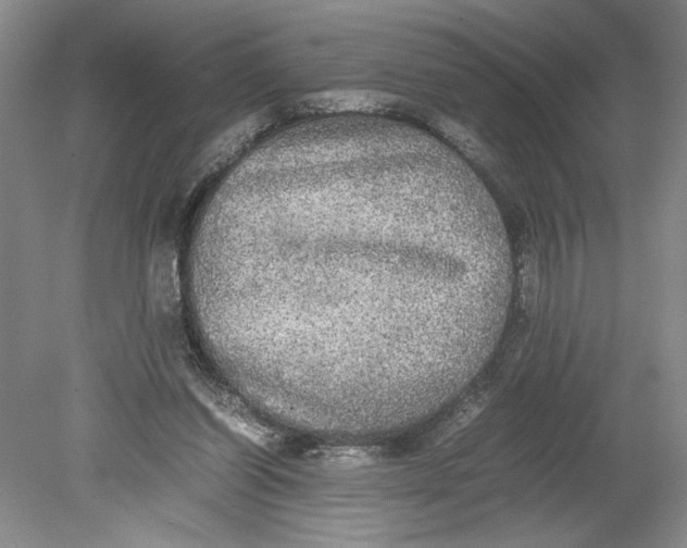 X0000080730254200701021128