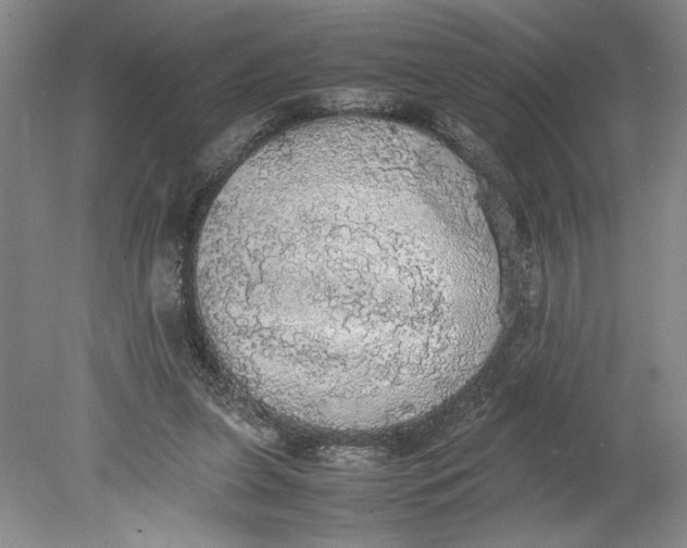 X0000080730255200701021128