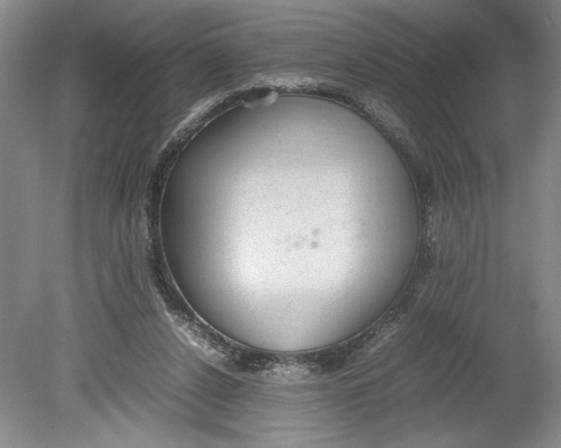 X0000080730256200701021128