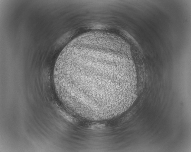 X0000080730257200701021128