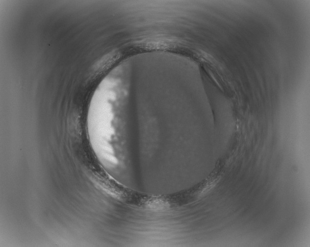 X0000080730258200701021128