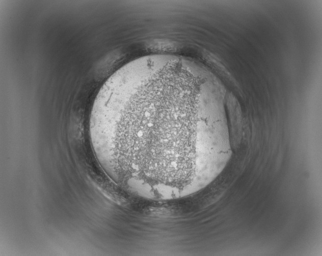 X0000080730259200701021128