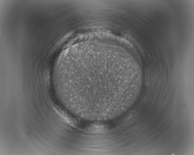 X0000080730260200701021128