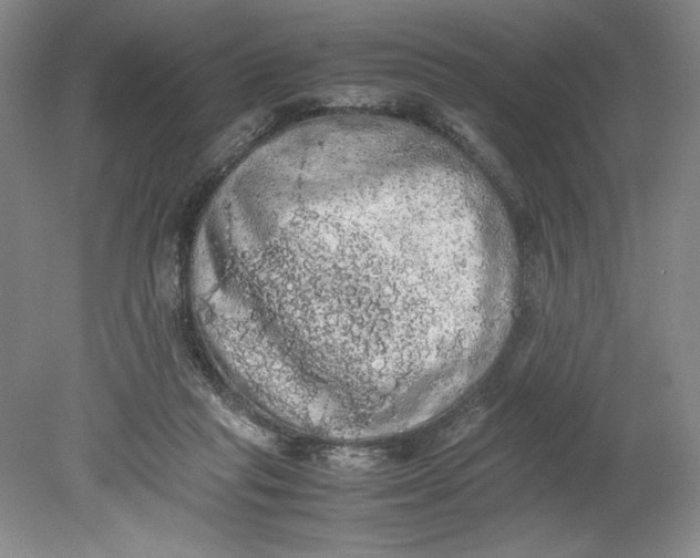 X0000080730261200701021128