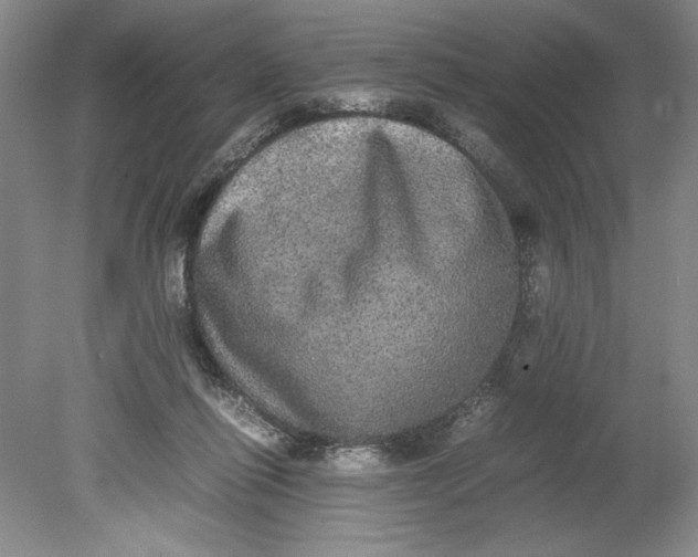 X0000080730262200701021128