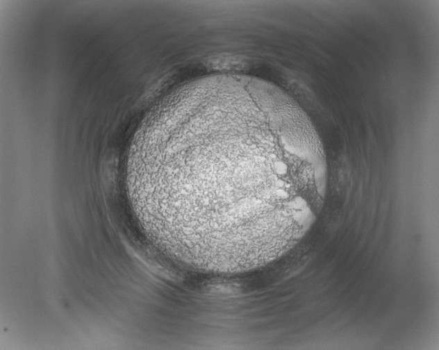 X0000080730263200701021128