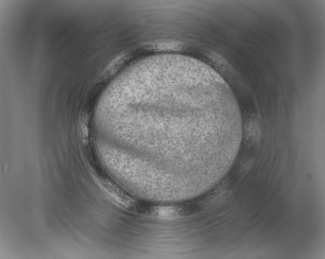 X0000080730264200701021128