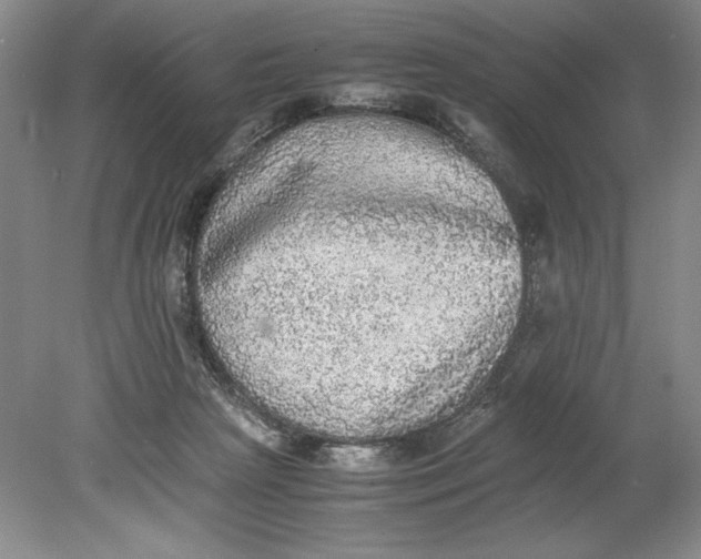 X0000080730265200701021128