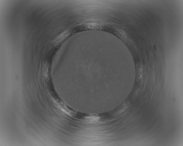 X0000080730266200701021128