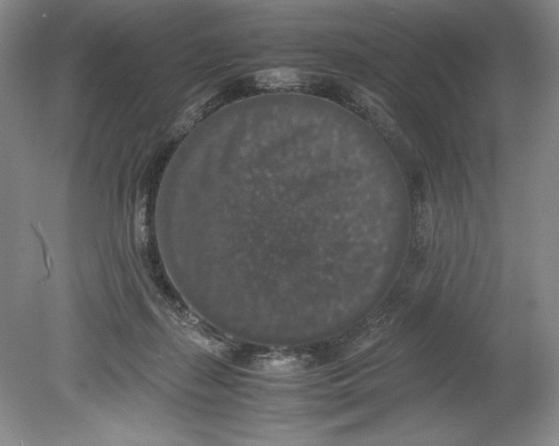 X0000080730267200701021128